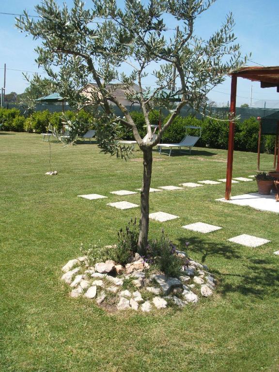 La Locanda Country House Borgo Montenero Esterno foto